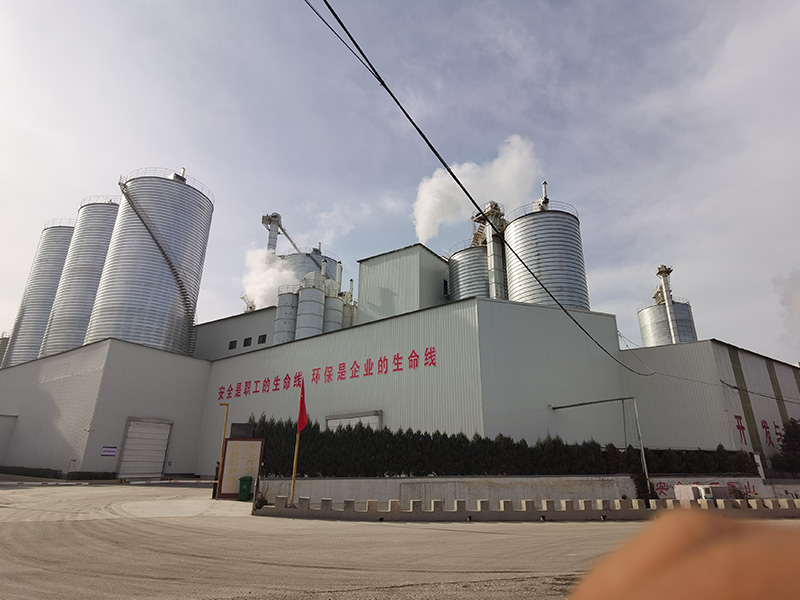 廠(chǎng)區(qū)一角